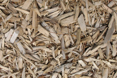 biomass boilers Bryntirion